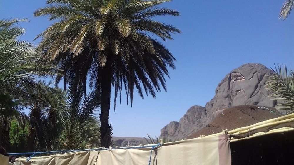 Auberge Restaurant Tissili " Oasis De Fint" Exteriör bild
